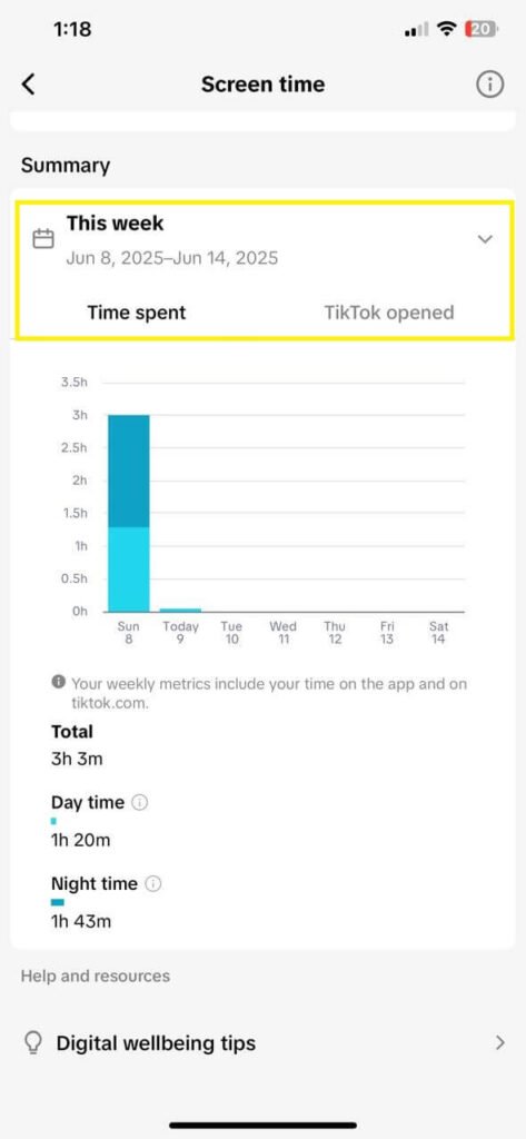 Check Your TikTok Screen Time