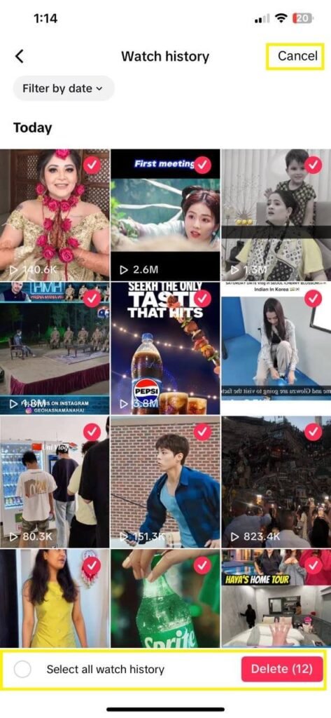 Delete Videos from Your Watch History