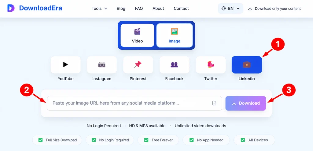 DownloadEra LinkedIn Downloader Guide